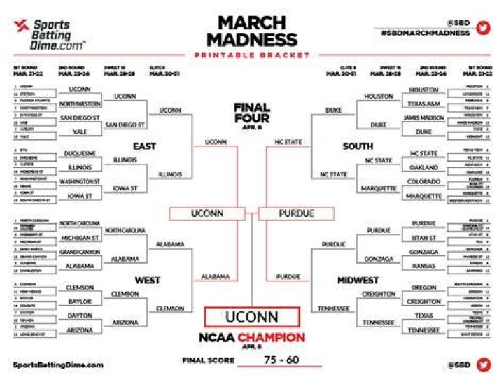 2024 March Madness Bracket Final Four
