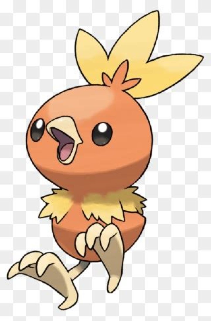 255Torchic.png