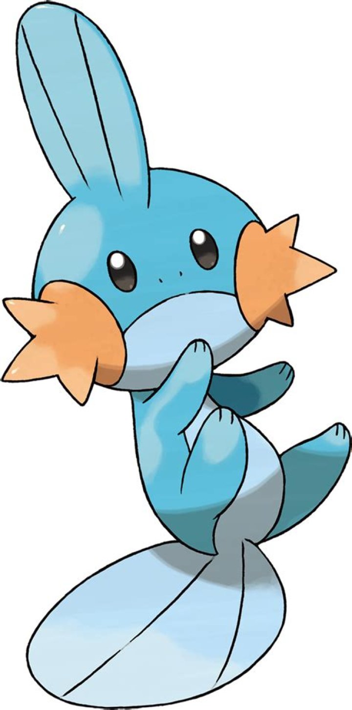 258Mudkip.png