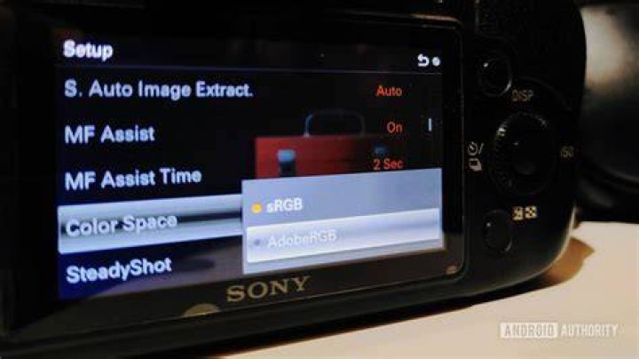 AdobeRGB setting on Sony mirrorless camera