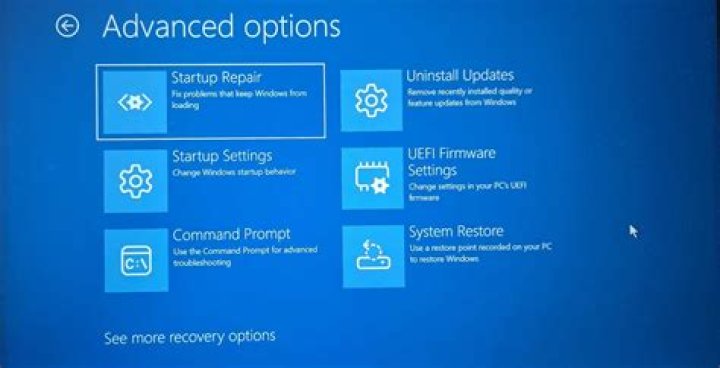 advanced recovery options Troubleshoot