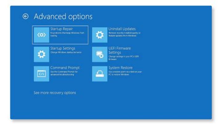 advanced-options windows 11 not recognizing switch pro controller