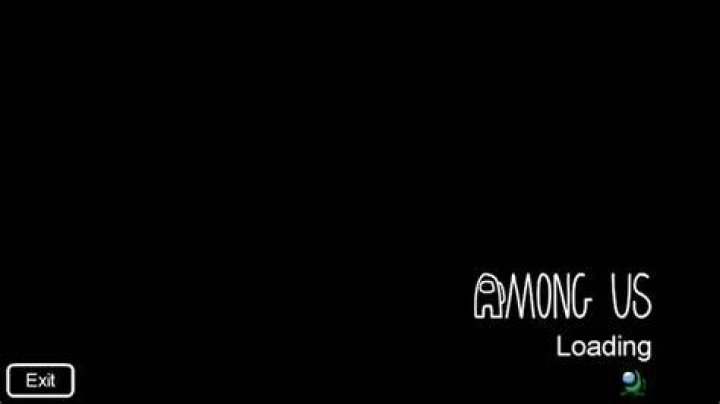 Among Us black screen