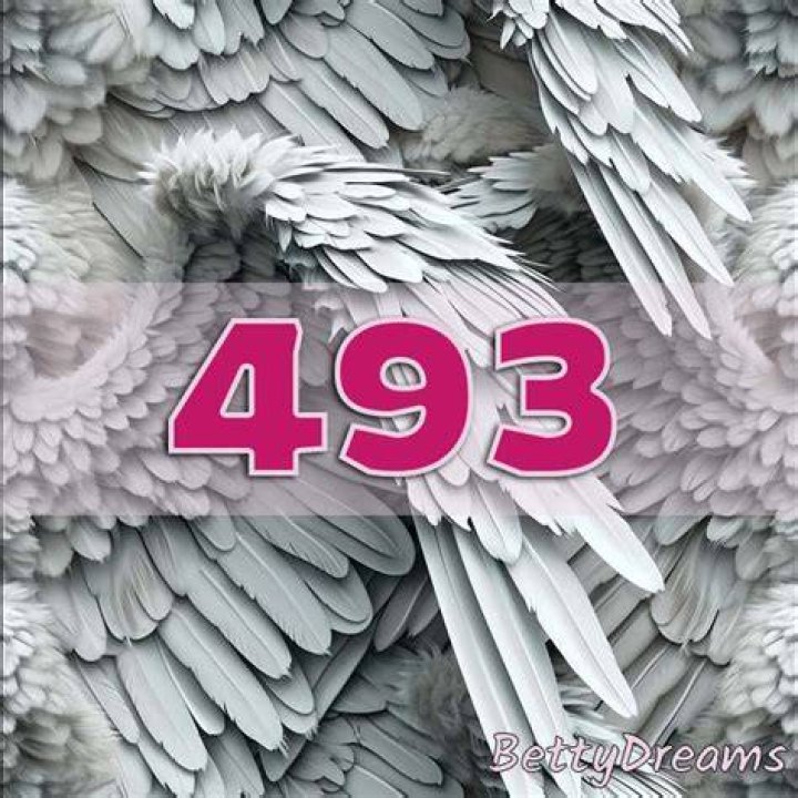 Angel Number 493