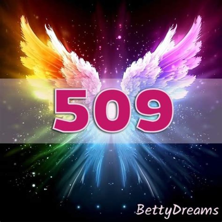 Angel Number 509