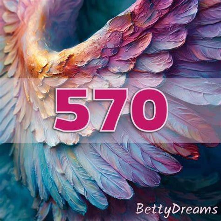 angel number 570