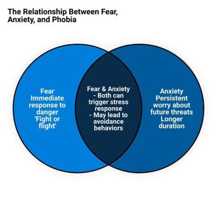 Anxiety and the Fear of Cardiovascular Problems