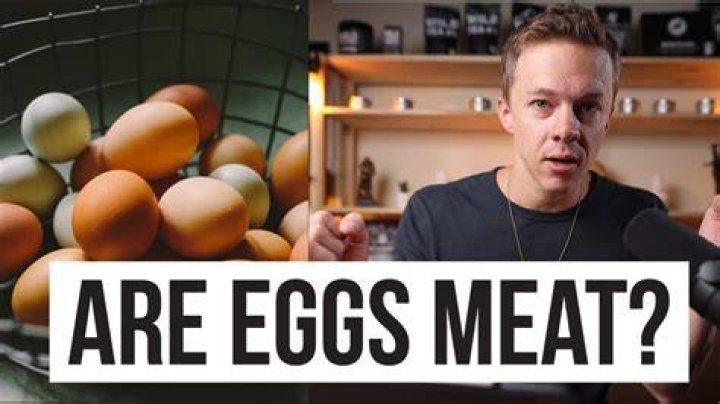 Are Eggs Considered Meat