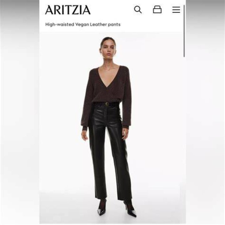 Aritzia The Melina Pant