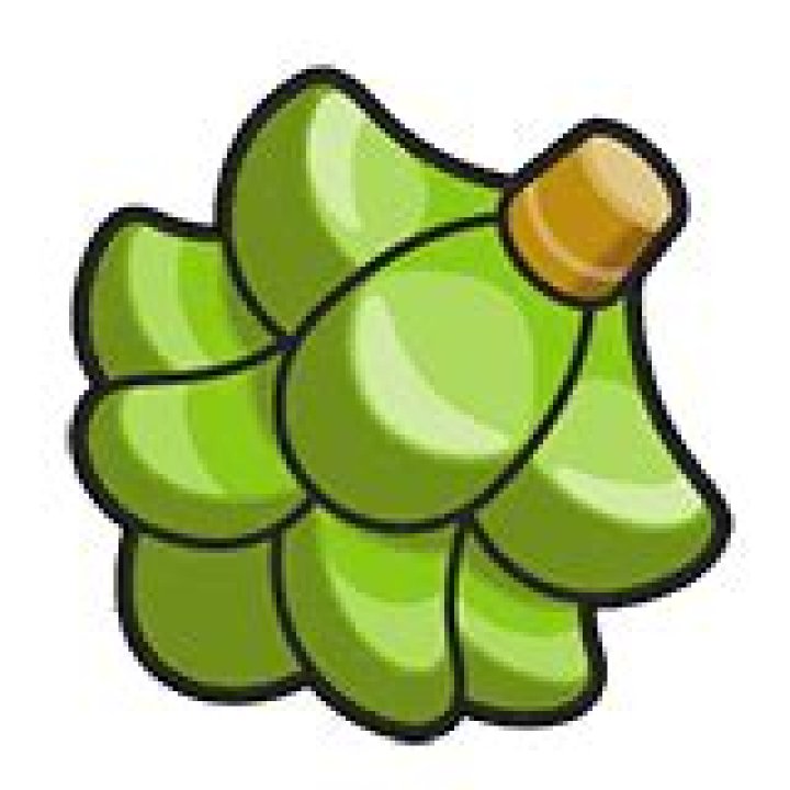 Babiri Berry
