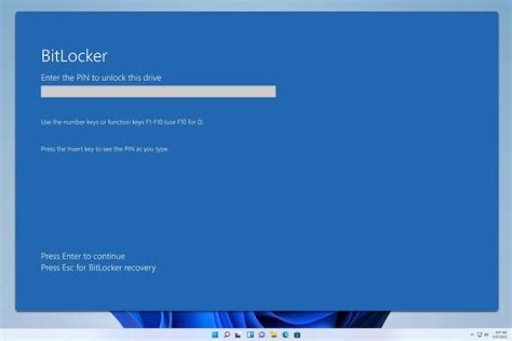 BitLocker password prompt screen problem on Windows 10/11