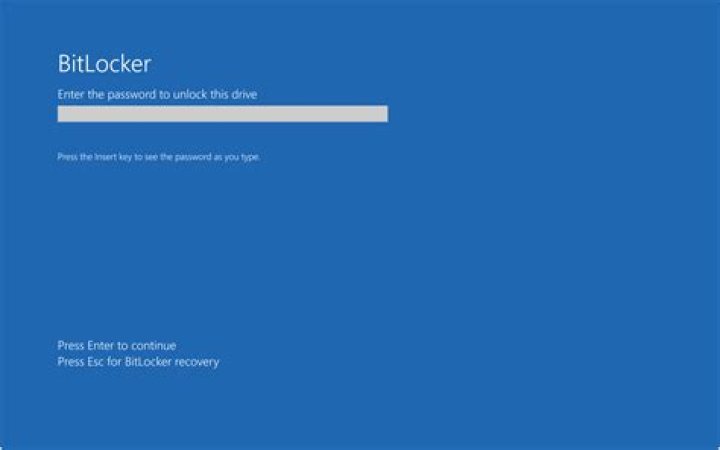 BitLocker password prompt screen