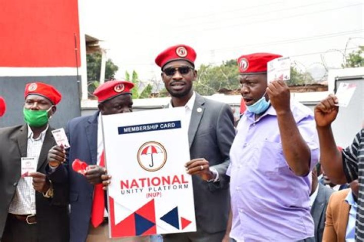 Bobi Wine Net Worth, Salary, and Businesses Revealed UGANDA 8 NEWS