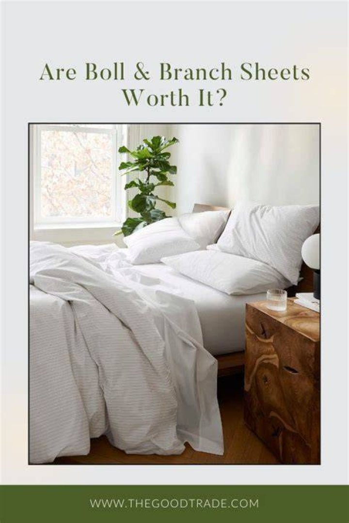 Boll and Branch Sheets Review