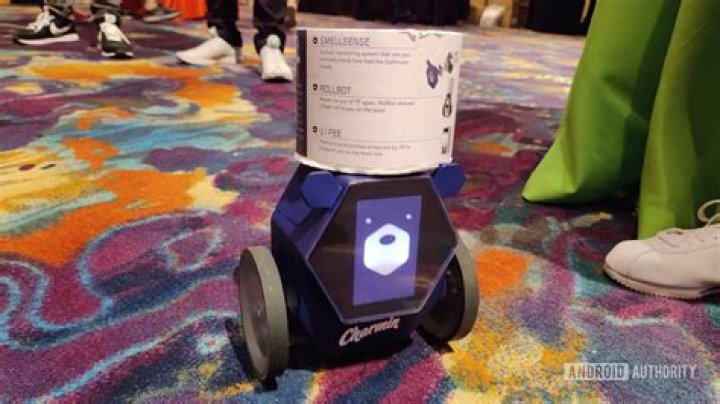 CES 2020 Charmin Robot CES 2020 Charmin Robot