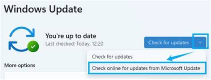 check for updates button skype video issues