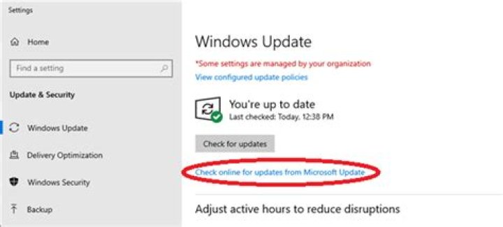 check for updates windows update how to fix epic browser assertion issue
