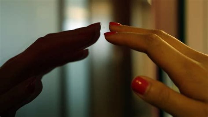 Chopped: How Amputated Fingertips Sometimes Grow Back