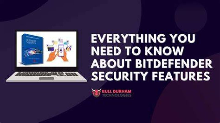 Clueful by Bitdefender - Everything you need to know