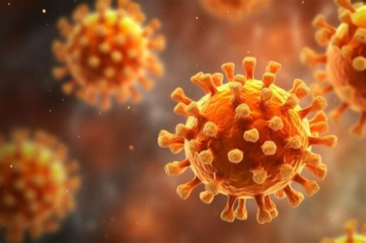 coronavirus 1 coronavirus 1