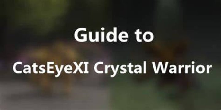 Crystal Project – Warrior Guide