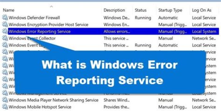 The Custom size radio button Custom size Windows Error Reporting Event ID 1001