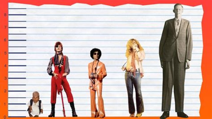 David Bowie Height