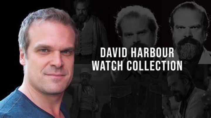 David Harbour on a red carpet.