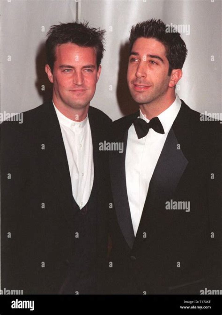 David Schwimmer and Matthew Perry David Schwimmer and Matthew Perry