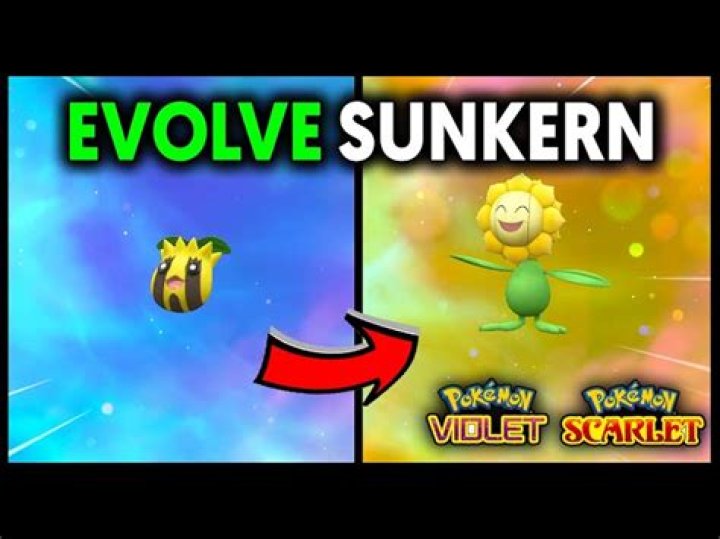Day (Sunkern)