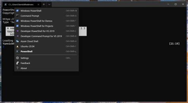 Developer PowerShell in visual studio 2019
