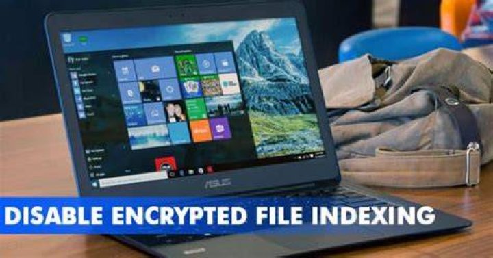 disable encrypted file indexing