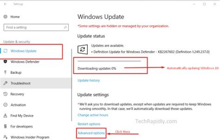 disable windows update service