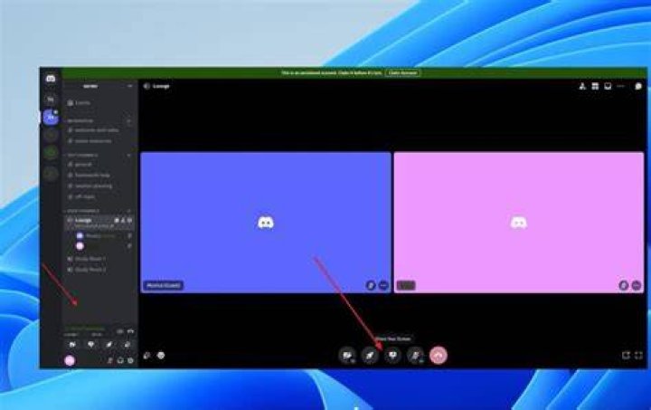 Discord screen share not working [Complete Guide]