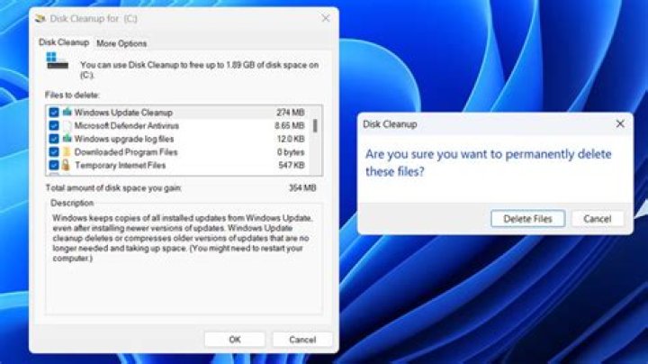 The Disk Clean-up search result Disk Clean-up search result Windows Error Reporting Event ID 1001