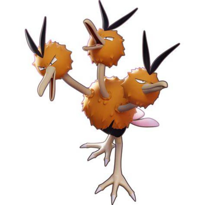 Dodrio