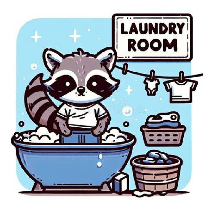 Doing Laundry In The Bathtub