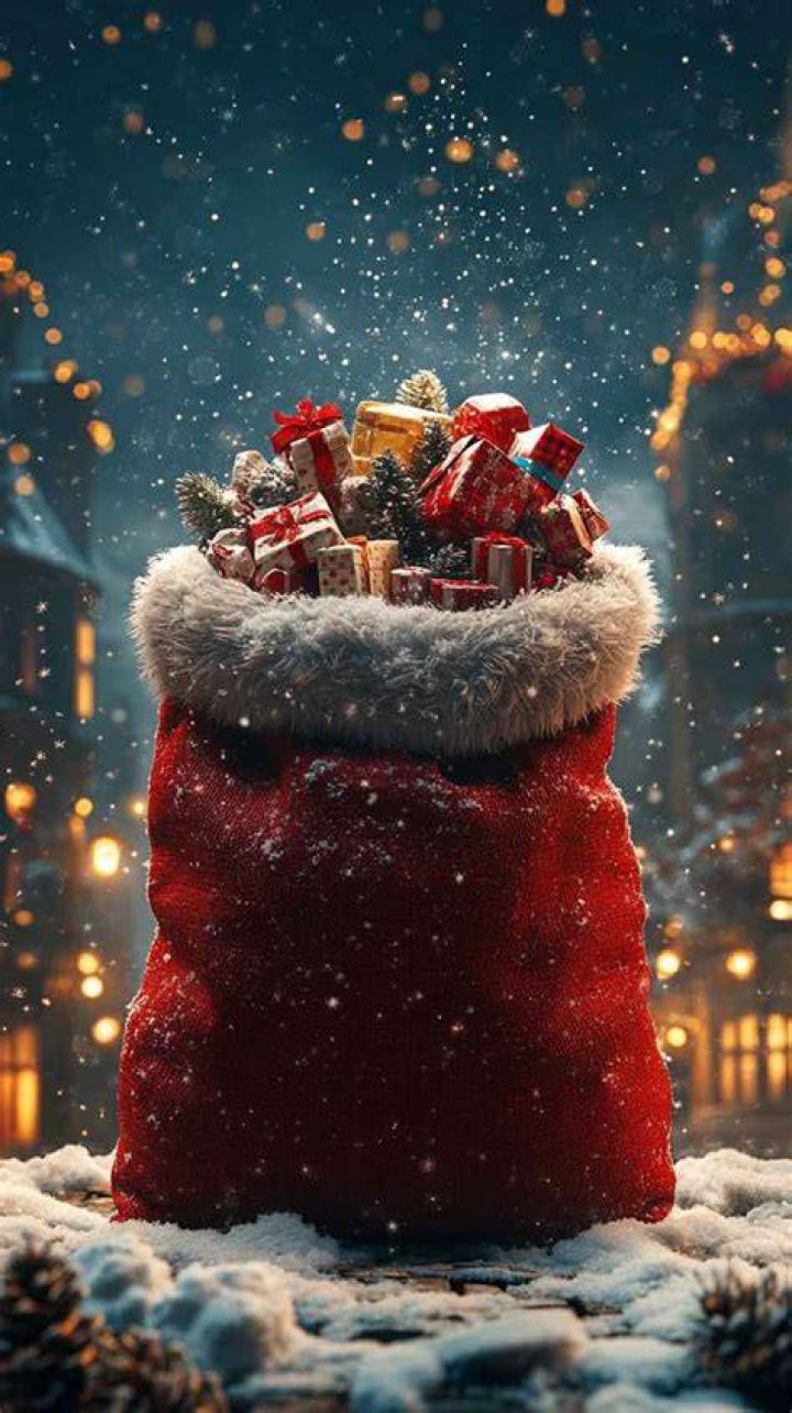 Download Santa's Bag for iOS - Free
