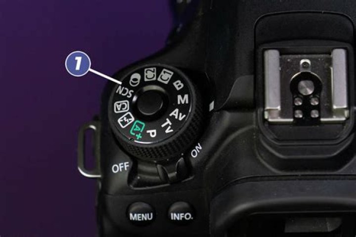DSLR shutter button, power toggle, and EV button. DSLR shutter button, power toggle, and EV button.