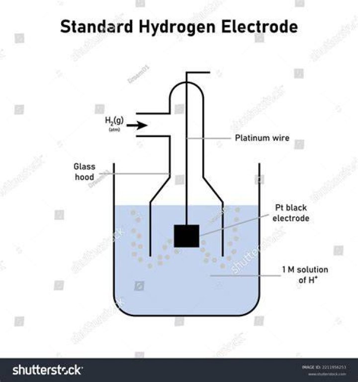 Electrode