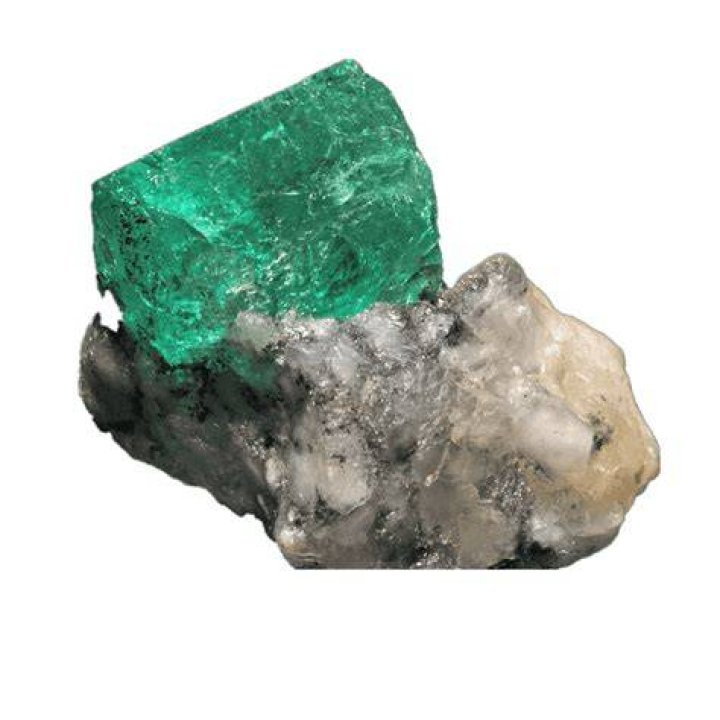 Emerald Grovyle.png