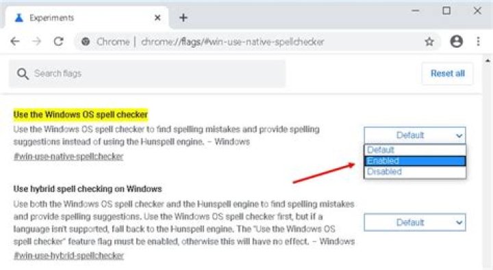 Enable Windows spellchecker in Google Chrome