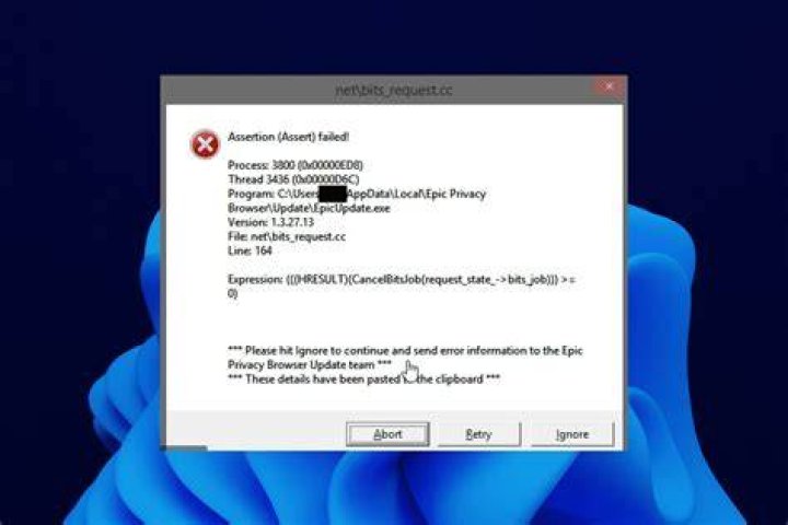 Epic Privacy Browser assertion failed