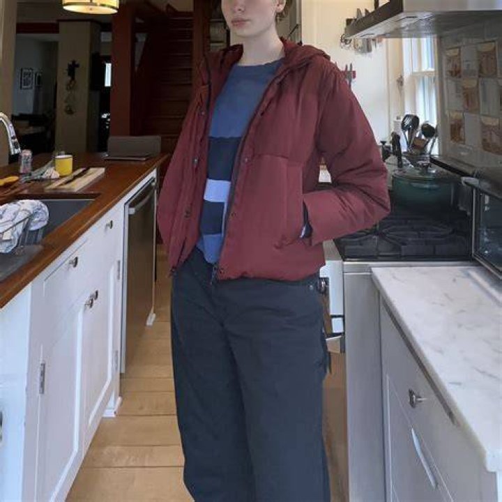 Everlane ReNew Short Puffer