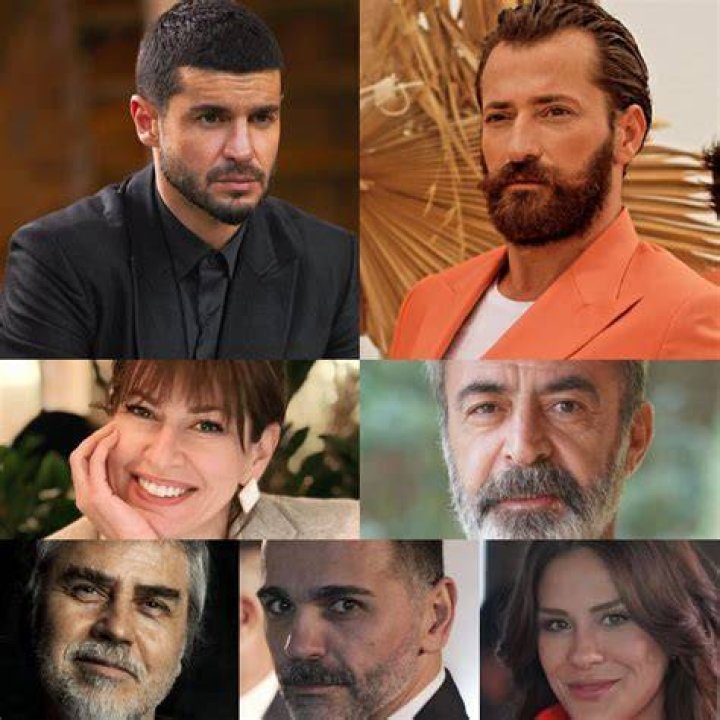 Exploring TV Shows Starring Berk Oktay: A Comprehensive Guide