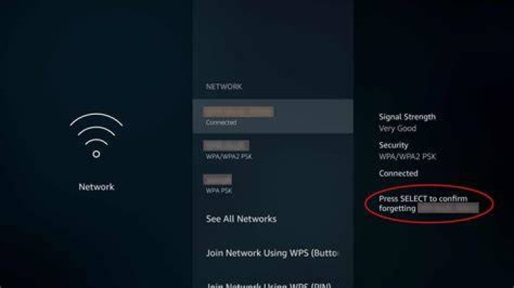 DSC 0163 Fire TV Network Settings