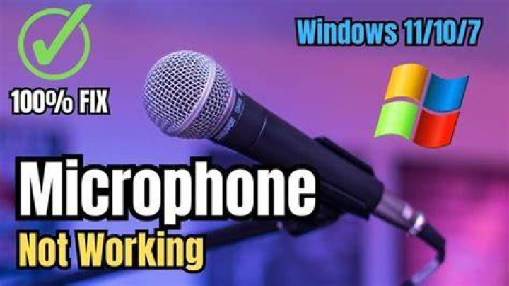 fix microphone not working in uplau