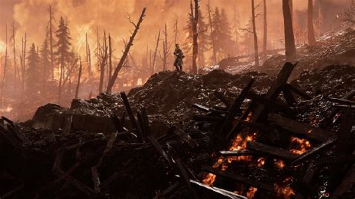 Forest battlefield