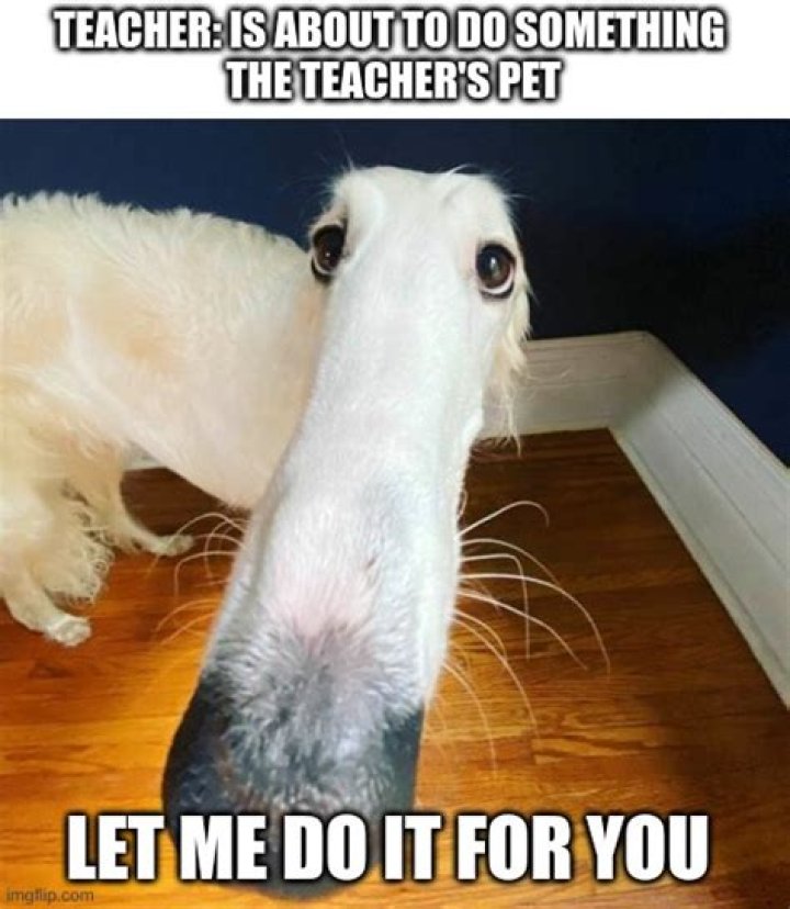 funny let me do it for you meme funny let me do it for you meme