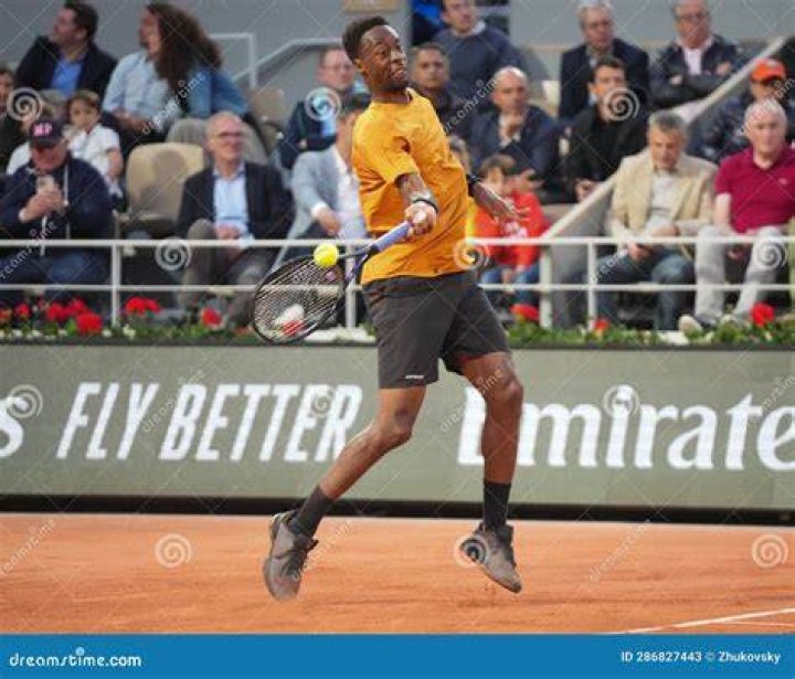 Gael Monfils in action